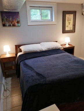 Cozy basement bedroom
